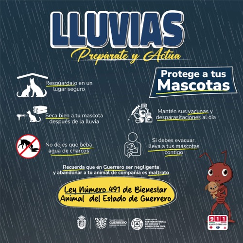 Banner Lluvias 17