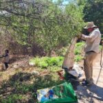 Llama Salud a la población a continuar con las medidas de prevención para evitar el mosco transmisor del Dengue