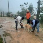 La SSG llama a la población a vacunar a las mascotas para seguir erradicando la rabia