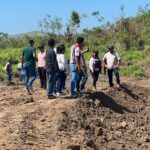 Personal de Obras Públicas y CMIC trabajan en la remoción de árboles caídos y escombros en Ejido Viejo en Coyuca de Benítez