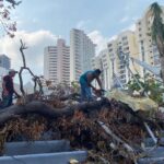 Personal de la Secretaría de Cultura y del Centro Cultural Acapulco continúan con labores de limpieza en el Auditorio al aire libre “Eloína López Cano”