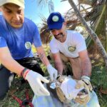 Semaren y Zoochilpan continúan con la atención de la fauna silvestre afectada por el huracán Otis