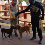 Unidad Canina de Búsqueda y Rescate de Protección Civil Guerrero visitaron las localidades del Km 21