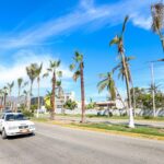 Arranca la reforestación en Acapulco gracias a las gestiones de la gobernadora Evelyn Salgado Pineda