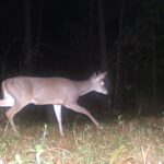 Guerrero aumenta a 348 mil hectáreas de áreas naturales y ecosistemas protegidas, celebra Evelyn Salgado