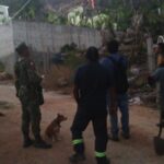 Gobierno de Guerrero trabaja para sofocar incendio forestal en Acapulco