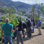 CON APOYO DE LA SOCIEDAD, AVANZA LA REFORESTACIÓN DEL PARQUE PAPAGAYO QUE IMPULSA LA GOBERNADORA EVELYN SALGADO PINEDA