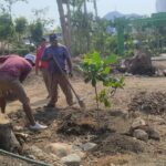 DESTINA EL GOBIERNO DE GUERRERO 50 MILLONES DE PESOS EN LA REHABILITACIÓN DEL PARQUE PAPAGAYO EN ACAPULCO