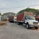 EN MAYO SE REALIZARON 2 MIL 283 REVISIONES DE CARGA PECUARIA EN GUERRERO: SAGADEGRO