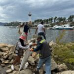 REALIZA PERSONAL DE LA SEMAREN GUERRERO JORNADA DE LIMPIEZA EN PLAYAS DE ACAPULCO