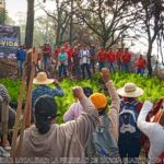 Llega la Campaña Reforestando Guerrero a Acapulco, Chilpancingo y Teloloapan