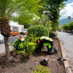 Evelyn Salgado moderniza y mejora la imagen urbana de Chilpancingo