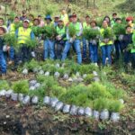 Lleva Evelyn Salgado segunda jornada de reforestación a la Sierra de Chilpancingo