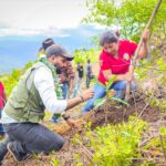 Sagadegro y Sembrando Vida realizan reforestación en Loma de Faisán, Malinaltepec