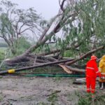 Atiende gobierno del estado afectaciones por lluvias y vientos generados por huracán “John”