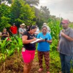 Implementa Evelyn Salgado prácticas de control biológico en el campo guerrerense