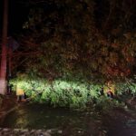 Personal de la SEMAREN, trabajando de noche en el retiro de material y árboles que han dejado las intensas lluvias