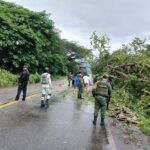 SSP GUERRERO, SEDENA Y GN RETIRAN ÁRBOLES CAÍDOS Y PIEDRAS QUE OBSTRUYEN CARRETERAS ESTATALES