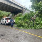 Tránsito Estatal libera carretera Zihuatanejo – Manzanillo en La Salitrera