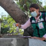 Acciones permanentes contra el dengue coloca a Guerrero en el 4to lugar a nivel nacional en incidencia de dengue
