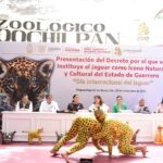 Gobierno de Guerrero declara al Jaguar como patrimonio cultural y natural del estado