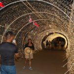 El Hogar del Sol se ilumina, adorna gobierno del estado con luces y adornos de la temporada puntos de Acapulco