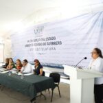 En Guerrero trabajamos con instancias gubernamentales y organizaciones sociales para que las mujeres puedan vivir libres de violencia: Violeta Pino