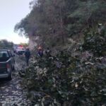 Personal de SGIRPCGRO atiende reporte de árboles caídos sobre la carretera Chilpancingo-Chichihualco