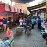 Las actividades cotidianas del municipio de Arcelia