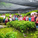 Llega a 71 municipios de Guerrero el programa Sembrando Vida