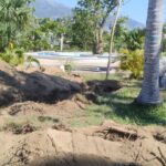 Se reforesta el Parque Papagayo con 280 árboles de gran tamaño, como parte del proyecto de rehabilitación de la gobernadora Evelyn Salgado