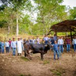 Sagadegro impulsa la ganadería con Programa de Mejoramiento Genético