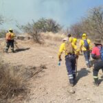 CONTINÚAN TRABAJOS PARA CONTROLAR Y LIQUIDAR EN SU TOTALIDAD INCENDIO FORESTAL EN PLATANILLO