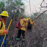 Gobierno de Guerrero fortalece labores de combate al incendio forestal de Iguala, sin riesgo para la población