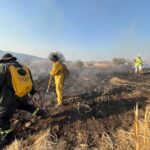 Avanza el combate al incendio forestal en Iguala: Controlado al 70% y 50% de liquidación, reportan autoridades