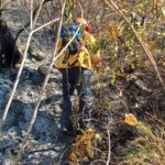 Brigadistas combaten incendio forestal al poniente de Chilpancingo