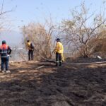 La SGIRPC: Registra temporada incendios forestales en 2025 menos siniestros respecto a 2024