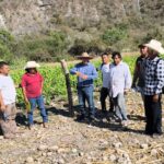 Sagadegro utiliza herramientas digitales para fortalecer la producción agroecológica