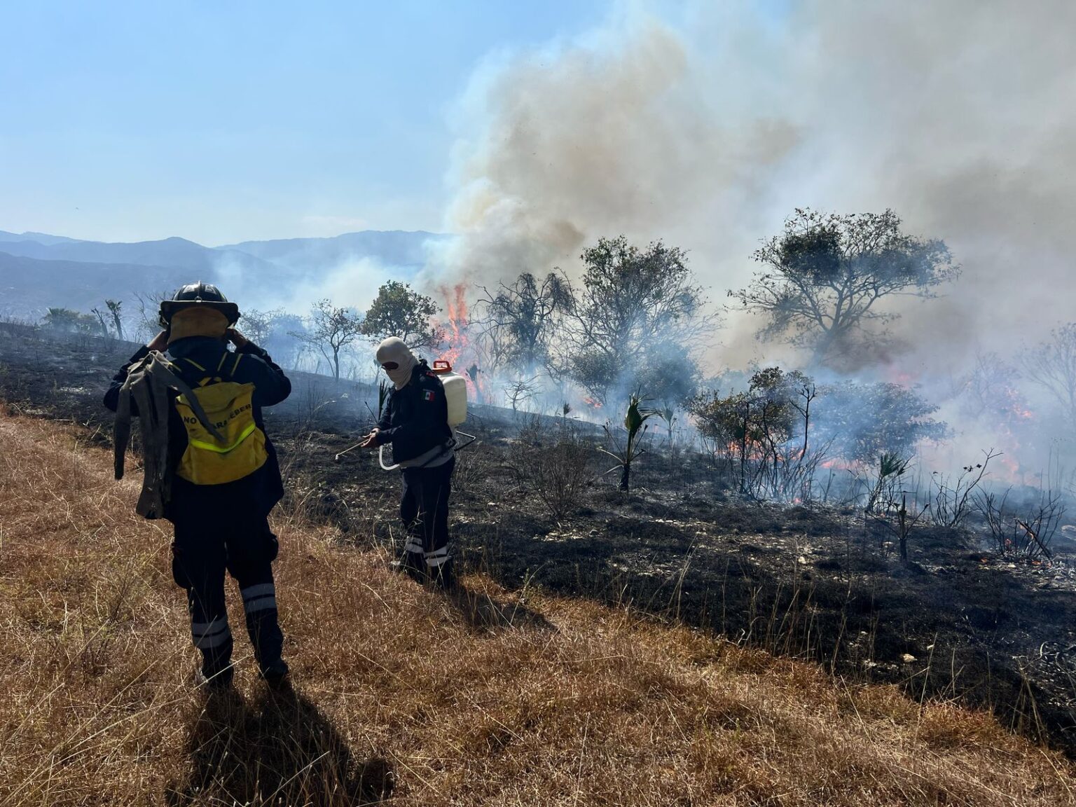 Controlado al 90 por ciento el incendio forestal en Chilpancingo ...