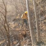 Incendio en Taxco el Viejo controlado al 85% gracias al esfuerzo coordinado de brigadistas de los tres niveles de gobierno