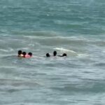 Guardavidas logran salvar a cuatro turistas en Playa de Acapulco