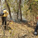 Autoridades continúan en la sofocación para el control del incendio en Cerro Grande, en el municipio de Iguala