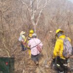 Continúan los trabajos para sofocar incendio en Pueblo Viejo, Iguala