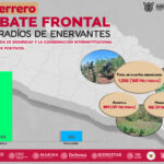 Resultado de las acciones emprendidas de la Mesa de Coordinación para la Construcción de la Paz se avanza en la erradicación de enervantes en Guerrero