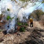 Acciones oportunas y capacitación constante reducen en un 67% las hectáreas afectadas por incendios forestales en Guerrero