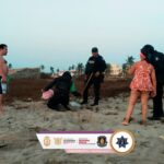 Policía Ecológica Estatal recupera 214 huevos de tortuga marina en Acapulco