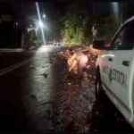 Oficiales de Tránsito Estatal implementan un operativo de seguridad vial sobre la avenida Escénica de Acapulco.