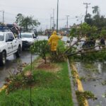 Secretaría de Seguridad Pública de Guerrero lleva a cabo labores inmediatas de retiro de árboles caídos sobre la carretera federal a Cuajinicuilapa