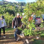 Impulsa Gobierno de Guerrero jornada de reforestación en Chilpancingo