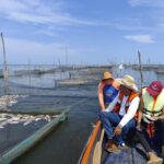 Atiende SEMAREN, COSAEG y Ecología Municipal a acuicultores afectados por mortandad de peces en la Laguna de Tres Palos en Acapulco